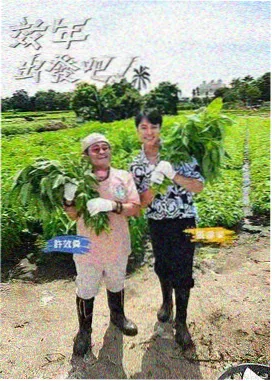 07 月 20 日更新的综艺纪实《沿着海岸线吃午饭》
